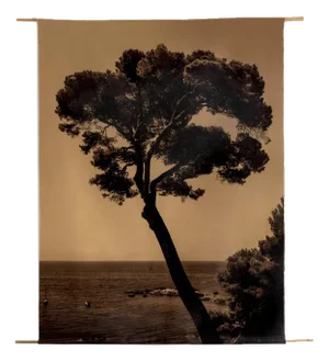 Ugne Pouwell, Prevail, 2022, Photography