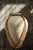 Cream Vintage Rattan Wrapped Terracotta Pottery Vase For Sale - Image 8 of 13