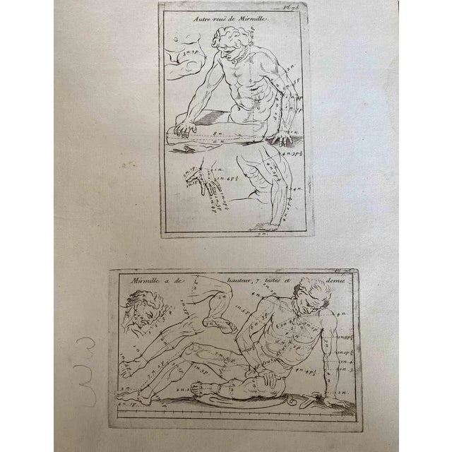 Anatomy Studies is an etching realized by Nicholas Cochin in 1755. Good conditions with foxing and stain. The artwork is...