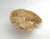 Chinoiserie Natural Table Coral Specimen Coastal Decor For Sale - Image 3 of 8