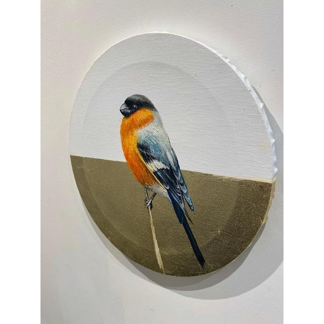 Contemporary Anastasia Gklava, Eurasian Bullfinch, Orange & Black Bird Composition, Painting with Gold Leaf on Round Canvas, 2025 For Sale - Image 3 of 18