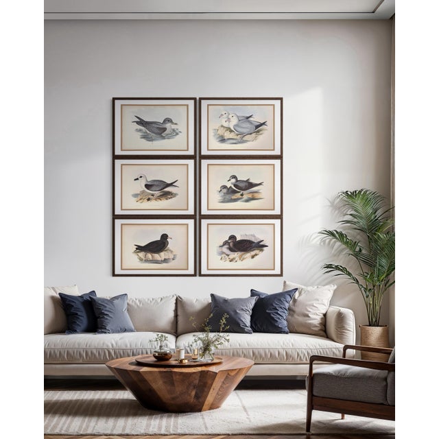 White Rare Gould Pattern Gallery, 19th Century Hand-Colored Lithographs From John Gould’s Birds of Australia | Custom Mat Selection - Set of 6 For Sale - Image 8 of 18