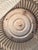 Pair of Antique Galvanized Dolly Tub Planters For Sale - Image 9 of 12