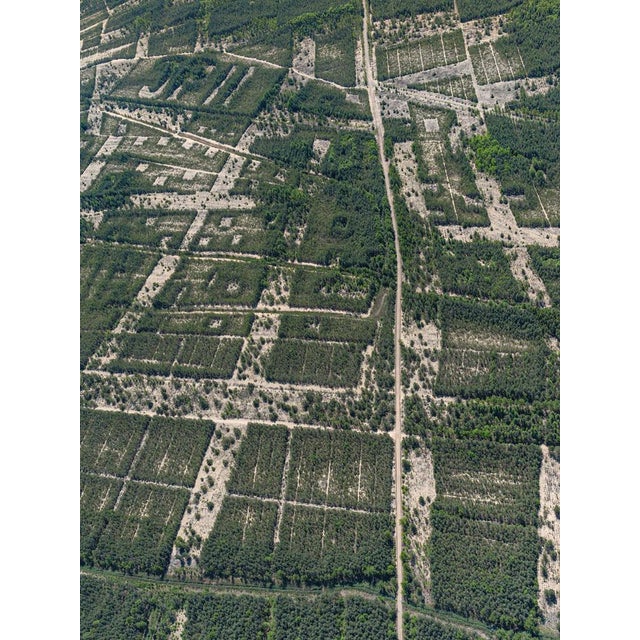 Bernhard Lang, AV_Forests_in_Formation_009, Aerial View, 2025, Print For Sale - Image 9 of 9