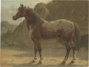 O. Eerelman, Illustration of the Pinzgauer Horse, 1898, Print