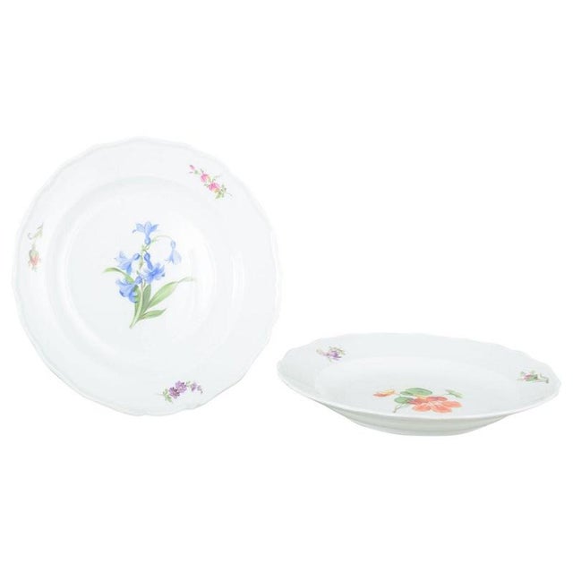1930s Porcelain Plates with Floral Motifs by Meissen, Germany, 1930s, Set of 2 For Sale - Image 5 of 5
