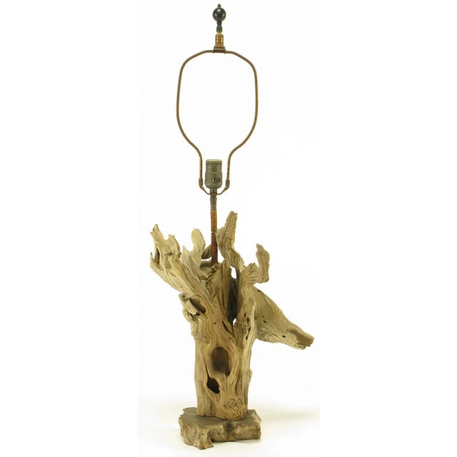 Driftwood table lamp with unexpected live edge carved wood base, circa 1960s. Rush wrapped long stem. Sold sans shade.