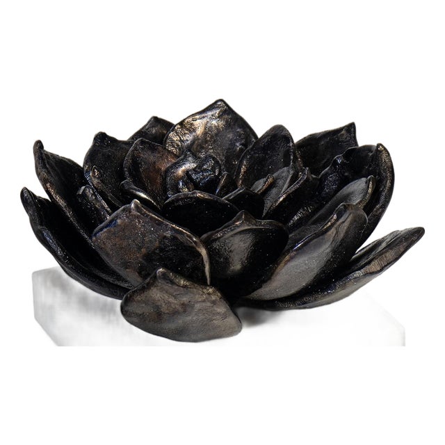 Succulent Sculpture 1, Blackened Zinc For Sale