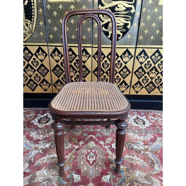 Chairs in Caning from Thonet, Set of 5 For Sale - Image 6 of 11