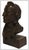 The artwork here, "Two Guns White Calf", is a wonderful depiction of the bust of a distinguished Native American man, that...