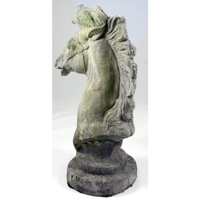 1960s Immense Vintage Cast Cement, Concrete Horse Head Sculpture For Sale - Image 4 of 14