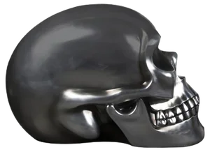 The Skull in Ceramic and Silver Soften Black from VGnewtrend