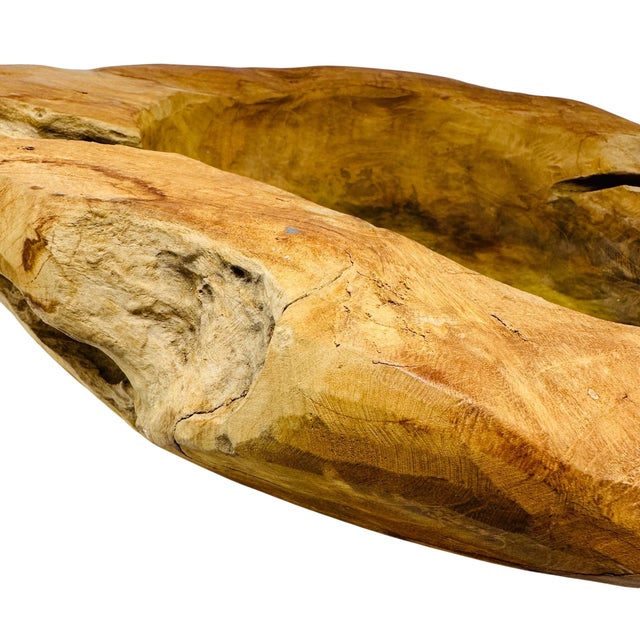 Gold Monumental 20” Hand-Carved Teak Root Sculptural Centerpiece Bowl - 19 Lbs, Early 2000s For Sale - Image 8 of 18
