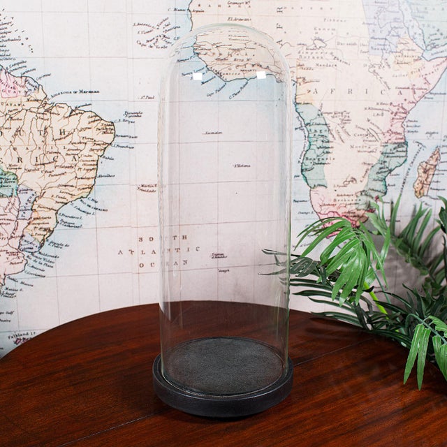 Large Antique Victorian Display Dome, English, Glass, Taxidermy Showcase, c.1880 For Sale - Image 4 of 10