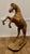 Life Size Arts and Crafts Leather Model of a Horse, 1920s For Sale - Image 9 of 10