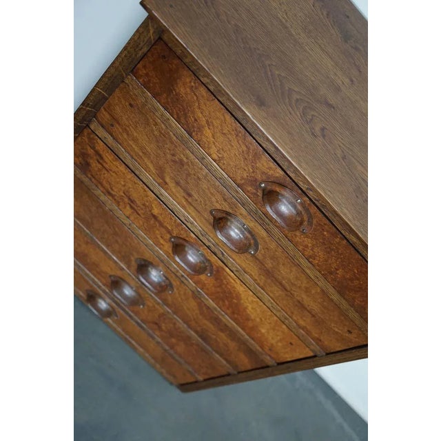 German Oak Apothecary Cabinet, Mid-20th Century For Sale - Image 4 of 17