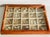 Vintage Florida Sea Shell Collection Marine Specimens For Sale - Image 4 of 7