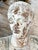 19th Century Antique Bust of Roman Figure For Sale - Image 5 of 7
