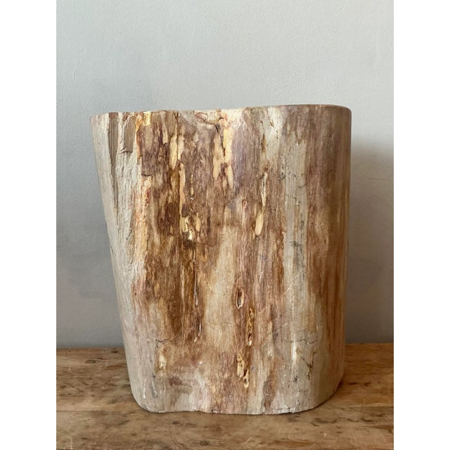 Brown Vintage Boho Petrified Wood Stool For Sale - Image 8 of 8