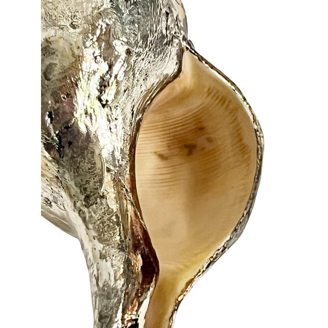Vintage Partially Silvered Conch Shell in the Style of Bucellati For Sale - Image 13 of 15