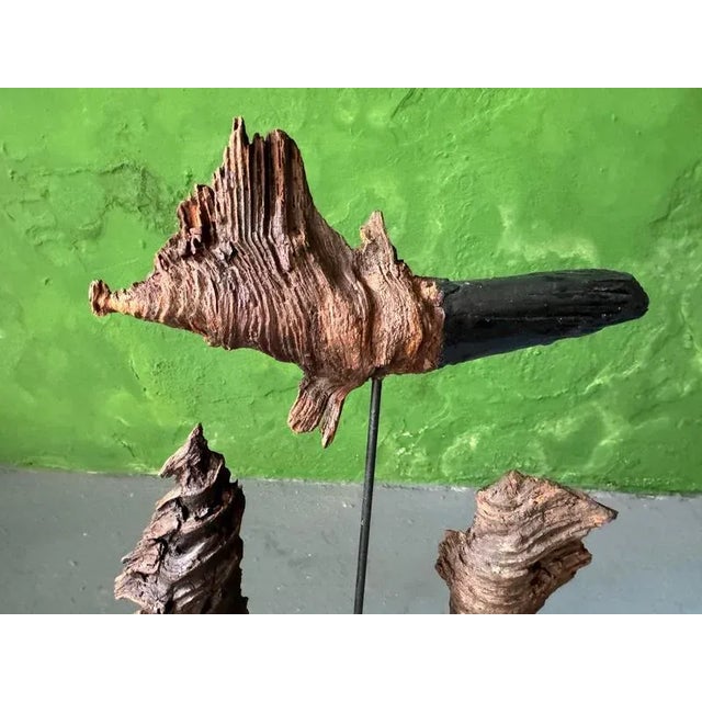 Contemporary Nature Sculpture by Markus Friedrich Staab For Sale - Image 3 of 10