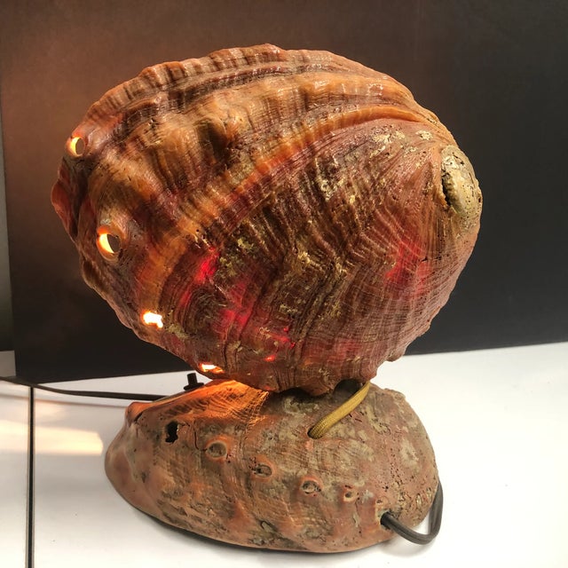 1950s Seashell Accent Lamp | Chairish