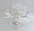 Chinoiserie Massive Natural Branch Coral Specimen on Acrylic Base For Sale - Image 3 of 7