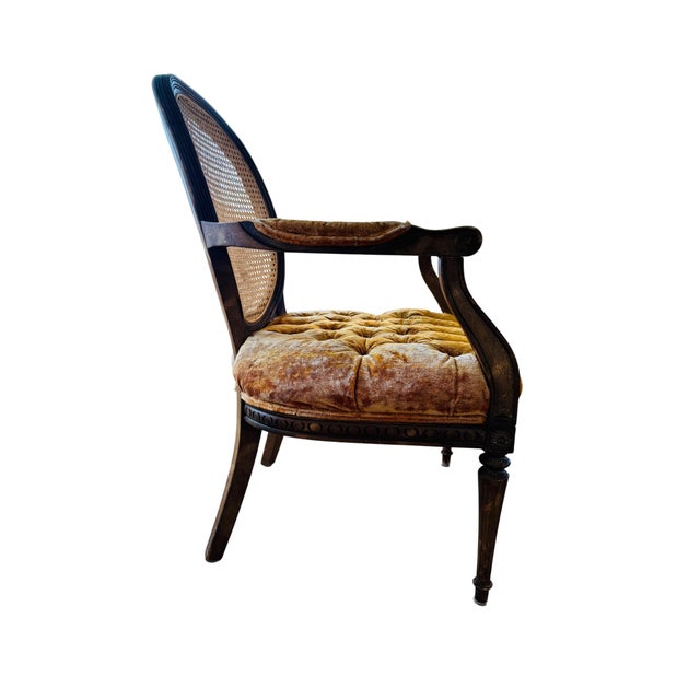 Wood Late 19th Century Louis XVI Style Bergere Chair For Sale - Image 7 of 9
