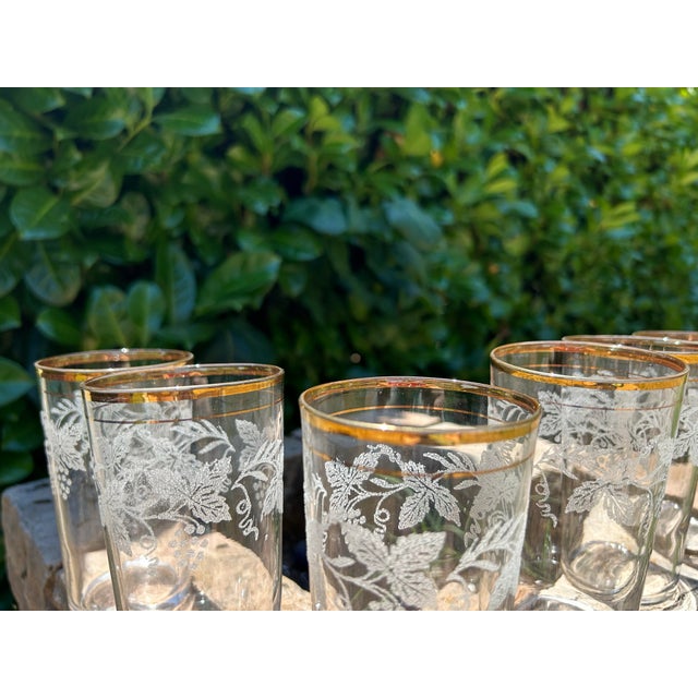1950s Set of Six Mid Century Modern Bartlett Collins Highball Glasses- Beautifully Designed Grapevines Around Upper Half of Glasses With 24k Gold Trim For Sale - Image 10 of 11