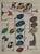 Alberto Magnelli (1888-1971) Musical Composition Color Lithograph Signed in the plate On heavy paper, 24 x 31 cm (approx....