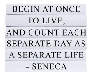 Decorative Books - Quote Book Stack - "Separate Life"
