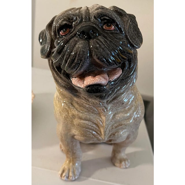 Midcentury Italian Pug Sculpture in Glazed Terra Cotta For Sale In Chicago - Image 6 of 11