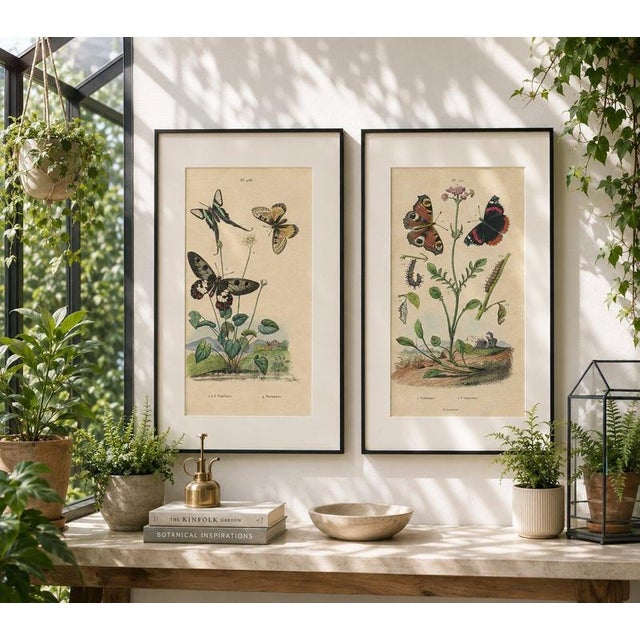 Pair of French Butterfly Engravings with Caterpillars by E. Guérin, 1835 This attractive pair of antique French natural...