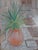 Paint William Benecke Oil Painting on Canvas ‘Street in Eze’ - Signed For Sale - Image 7 of 11