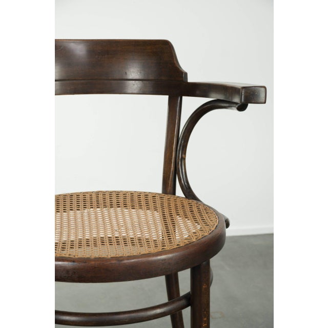 Vintage Webbing Armchair in Curved Wood For Sale - Image 9 of 13