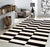 2020s Pasargad Home Rodeo White Area Rug- 9' 9" X 13' 9" For Sale - Image 5 of 5