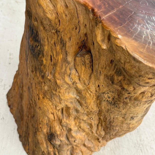 Reclaimed Tree Trunk Side Pedestal Table with Red Brown Top For Sale In New York - Image 6 of 6