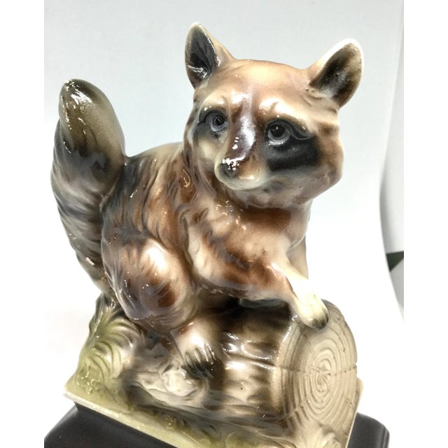 Calling all Raccoon lovers. This little guy will melt your heart. He is in great condition for his age. Over 100 years. He...