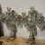 Transparent 1900 French Baccarat Crystal Candelabra - Pair For Sale - Image 8 of 10
