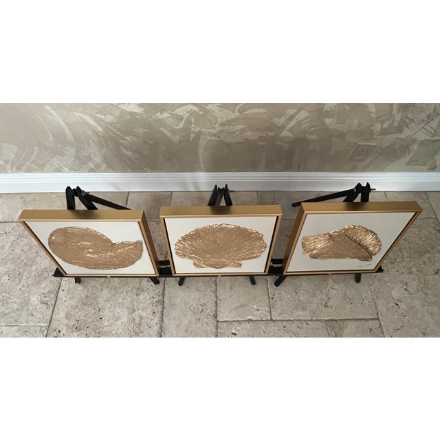 Seashell Trio Collection - Gold Metallic & Beige, Designed by Cheryl P. Kohloff Dimensions: 12” x 12” x 2.5 Canvas Color...