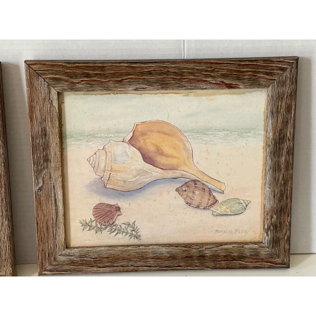 1960s Coastal Boho Pair of Sea Shell Coloured Lithographs For Sale - Image 5 of 6