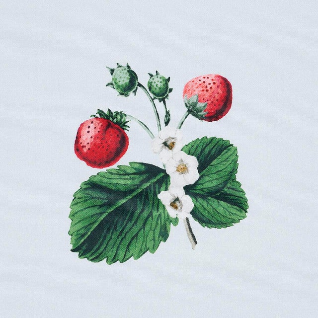 Contemporary Sample - Schumacher x Johnson Hartig Strawberry Hill Fabric in Sky For Sale - Image 3 of 5