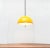 Space Age Cabras Pendant Lamp by Luigi Massoni for Guzzini For Sale - Image 6 of 18