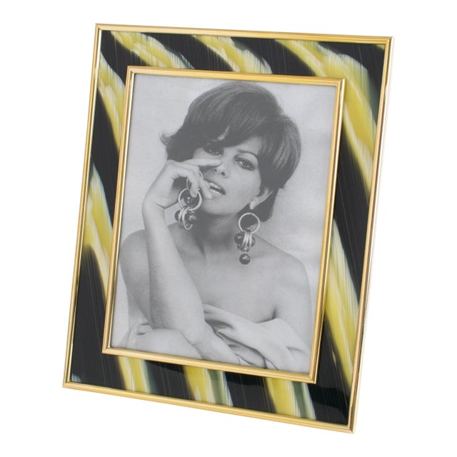 Montagnani Gilded Brass and Faux-Horn Lucite Inlaid Picture Frame For Sale
