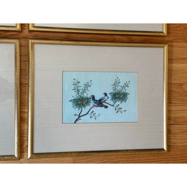 Wood Antique Chinese Export Gouache Bird Paintings on Pith, Set of 6 For Sale - Image 7 of 12