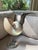 Mid-Century Modern Binazzi Firenze Silver Plate & Nautilus Shell Bird Sculpture, 1970s. Signed. For Sale - Image 3 of 10