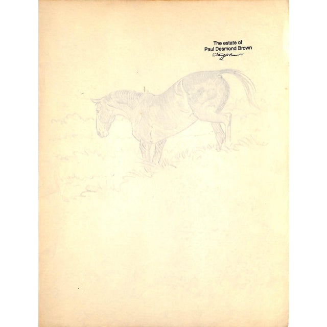 Traditional Original 1944 Pencil Drawing From Hi, Guy! The Cinderella Horse by Paul Brown 18 For Sale - Image 3 of 6