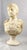 20th Century White Marble Bust of a Roman General For Sale - Image 5 of 13