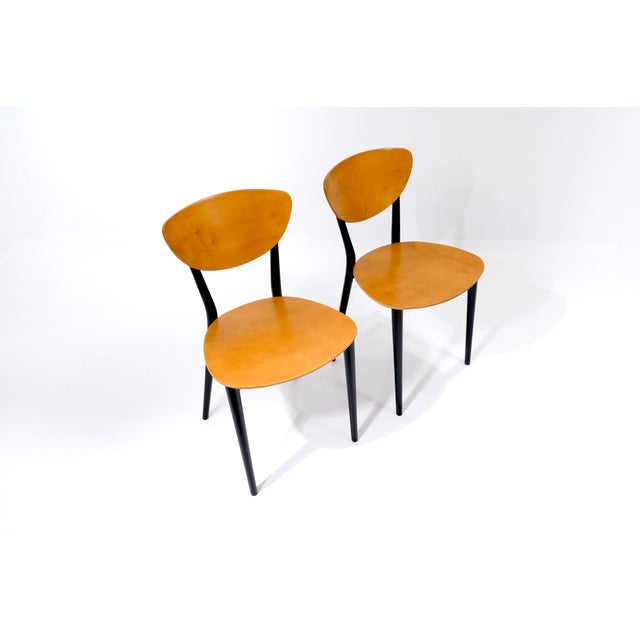 Vintage Swiss Chairs by Kurt Thut, 1953, Set of 4 For Sale - Image 11 of 18