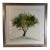 Set of 6 Contemporary Minimalist "Tree Wash Series 1-6" Watercolor & Ink Framed Painting – 22" Sq For Sale